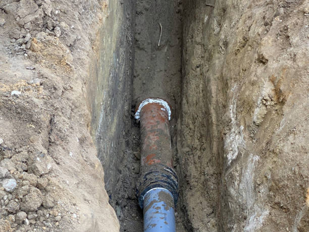 Best Storm and Flood Water Damage Restoration in Westfield, IN